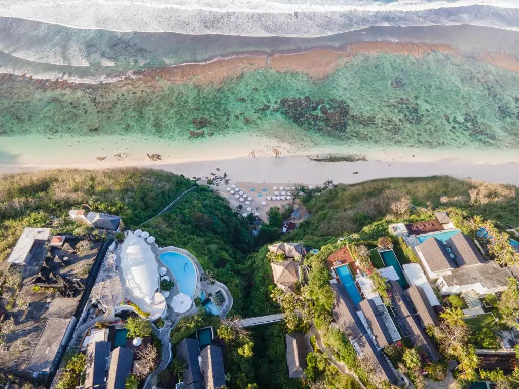 کارما کاندرا